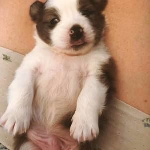 Meet your Posher, Cathy